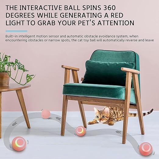 Interactive Cat Toy Ball | 360° Smart Rolling Ball for Cats (Pack of 1)
