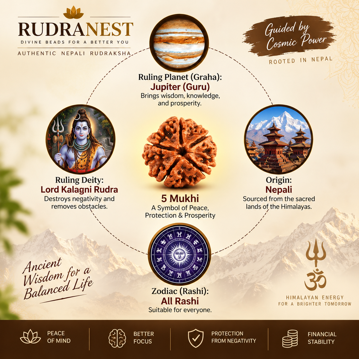 Money & Love Balance | 5 Mukhi Certified Nepali Rudraksha Bracelet