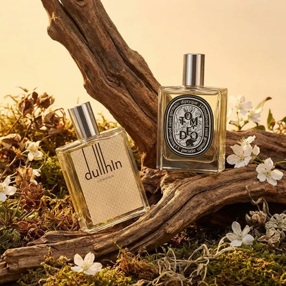 Sandalwood Noir Perfume | Luxury Woody & Aromatic Fragrance for Men & Women (Pack of 1)