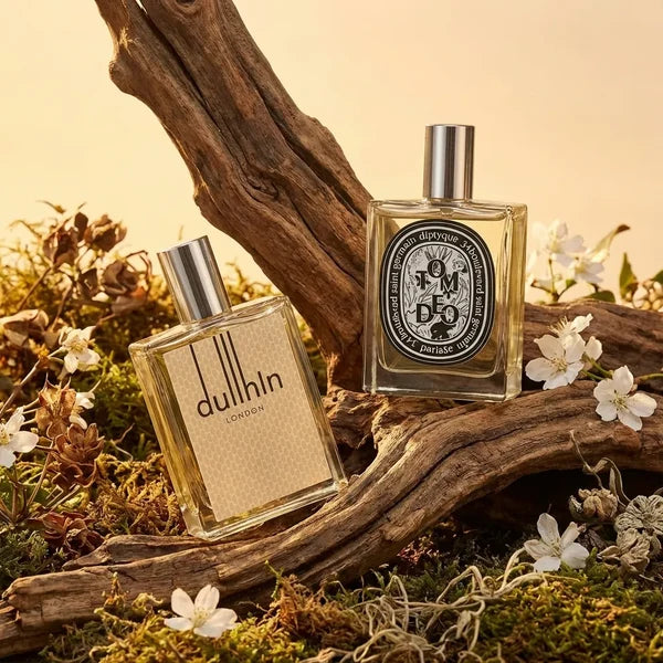 Sandalwood Noir Perfume | Luxury Woody & Aromatic Fragrance for Men & Women (Pack of 1)