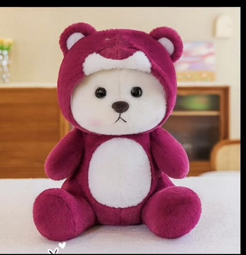 Cute Hoodie Teddy Bear Plush Toy | Soft Stuffed Animal for Kids & Gifting